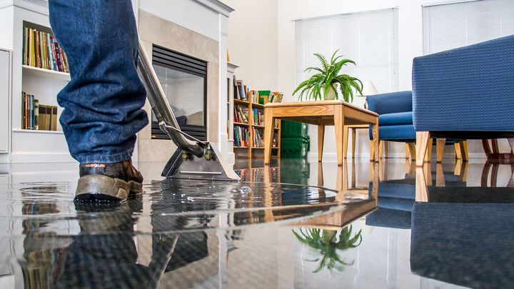 Water Damage Restoration Guide: Insights and Expert Help